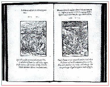 immagine31.jpg
