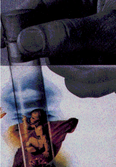 immagine11.gif