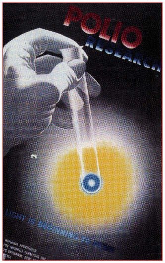 immagine17.jpg