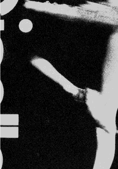 immagine13.gif